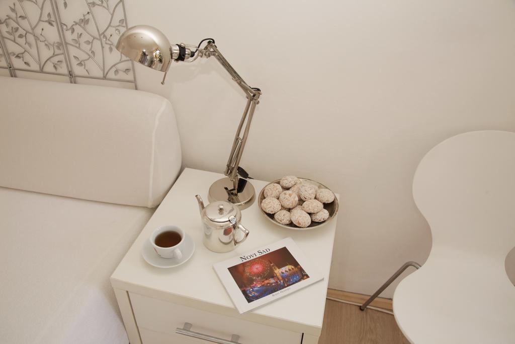 Apartment Spacious Liman ノヴィ・サド エクステリア 写真