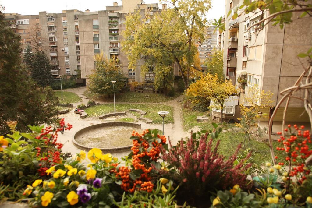 Apartment Spacious Liman ノヴィ・サド エクステリア 写真