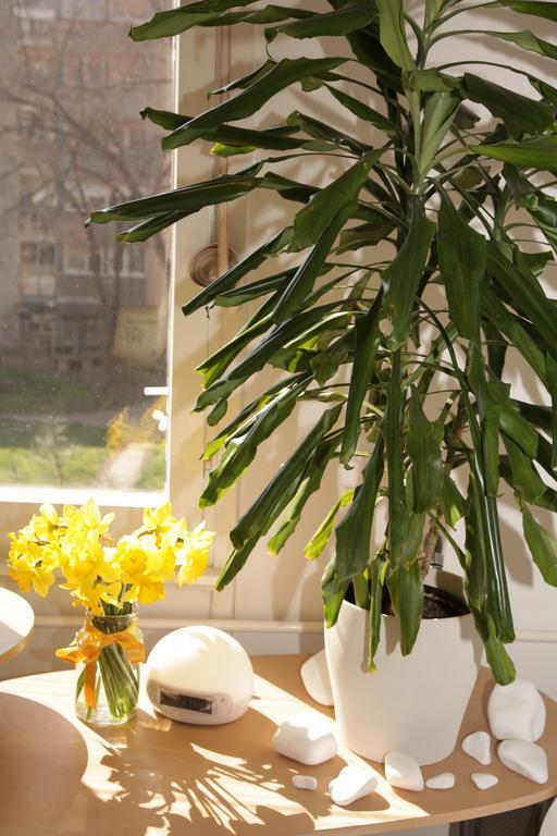 Apartment Spacious Liman ノヴィ・サド エクステリア 写真