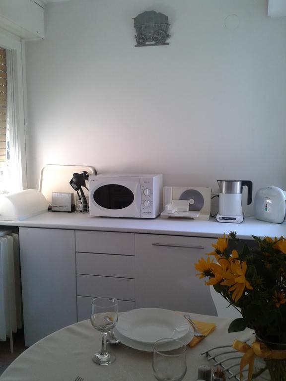 Apartment Spacious Liman ノヴィ・サド エクステリア 写真