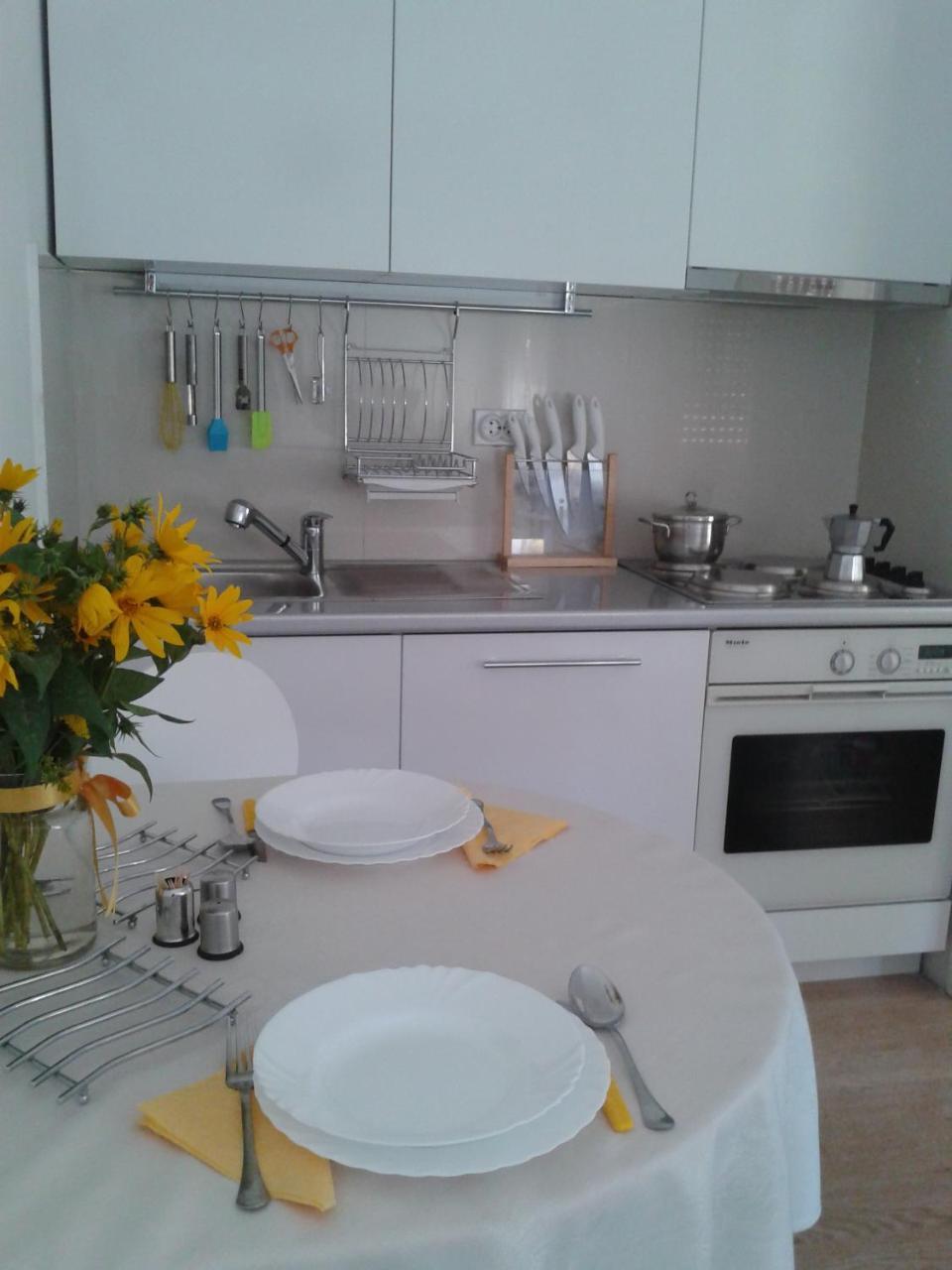 Apartment Spacious Liman ノヴィ・サド エクステリア 写真